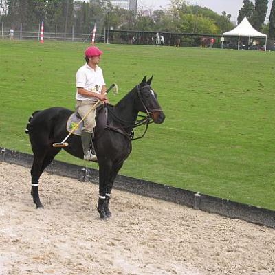 Polo Club Barcelona Polo Club Barcelona